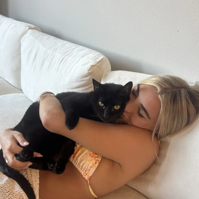 Experienced And Trustworthy Cat Sitter