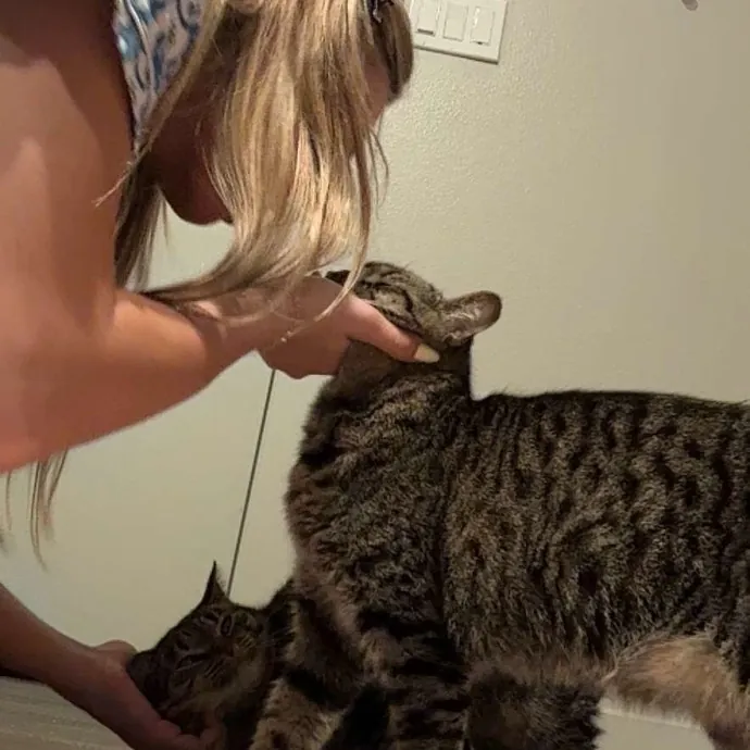 Experienced And Trustworthy Cat Sitter