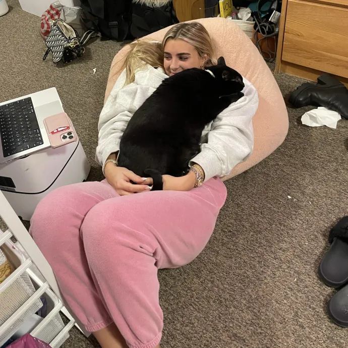 Experienced And Trustworthy Cat Sitter photo 4