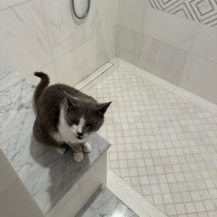 Trusted Cat Care Pro