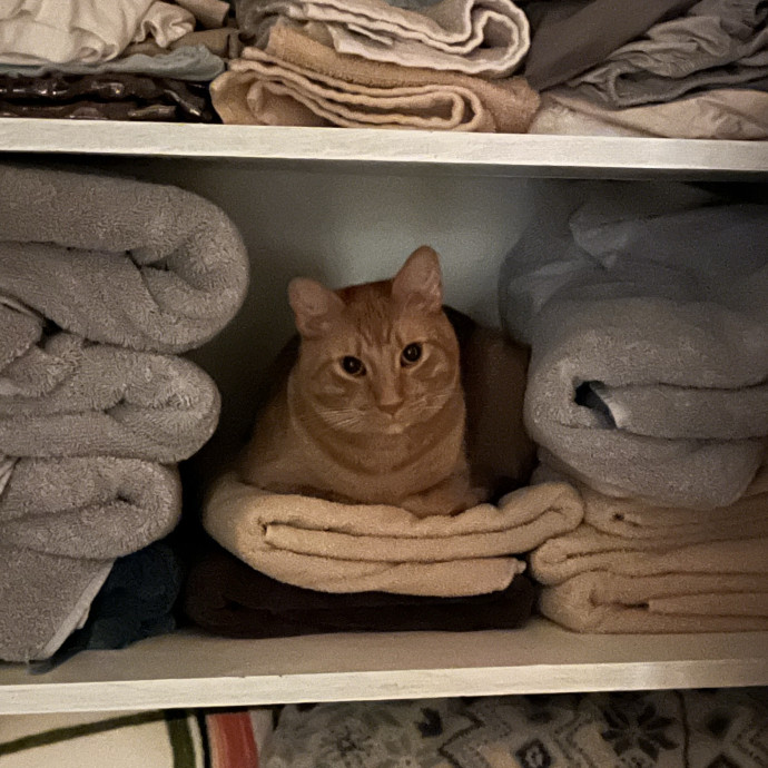 Wimberley Whisker Sitter