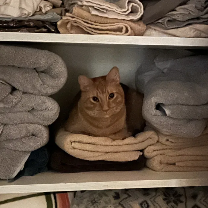 Wimberley Whisker Sitter