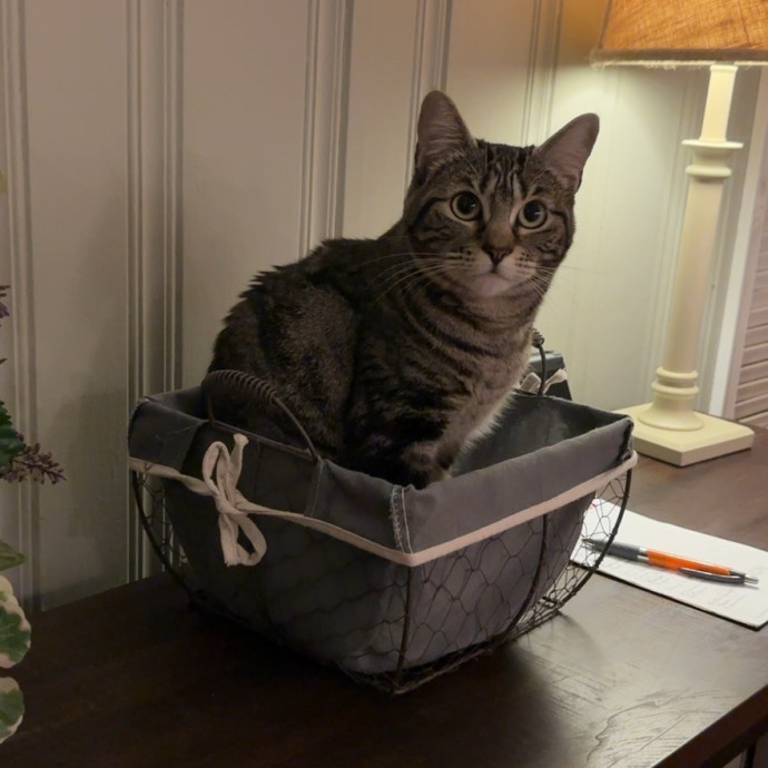 Wimberley Whisker Sitter