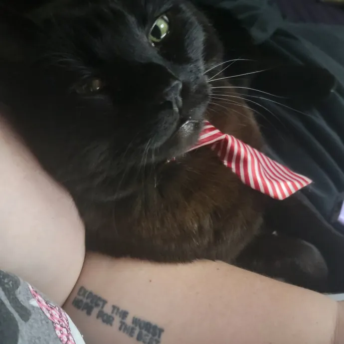 I'll Love Your Fur Baby As I Love My Own