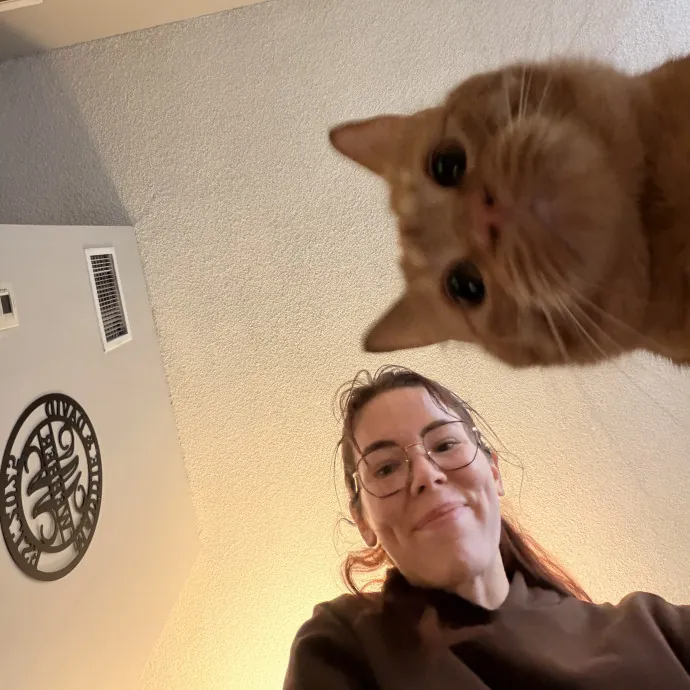 Experienced Cat Sitter  Cat Mom Of 6