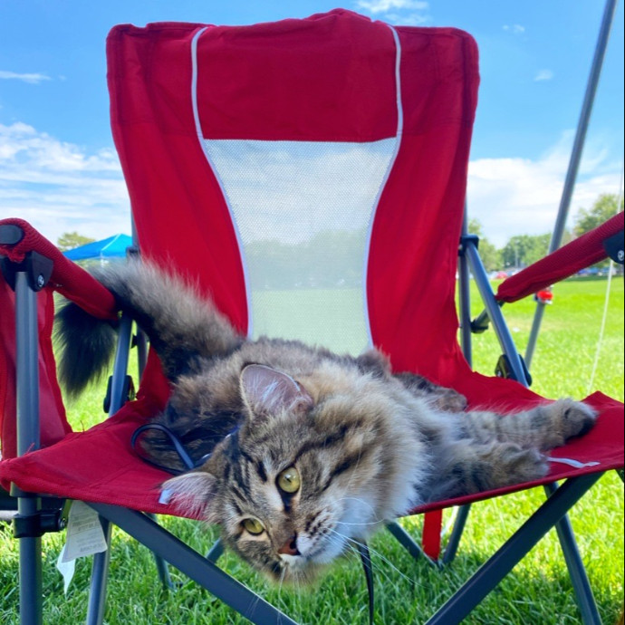 Jean's Whisker Club
