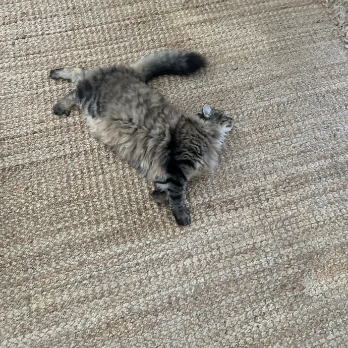 Your Paw-Some Sitter With Nanny Vibes