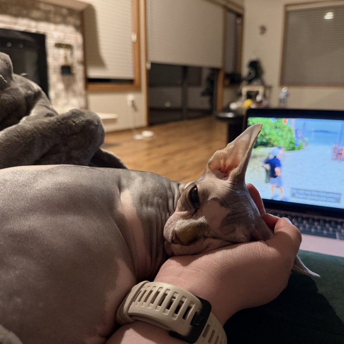 Cat-Sual Sitting With Mia