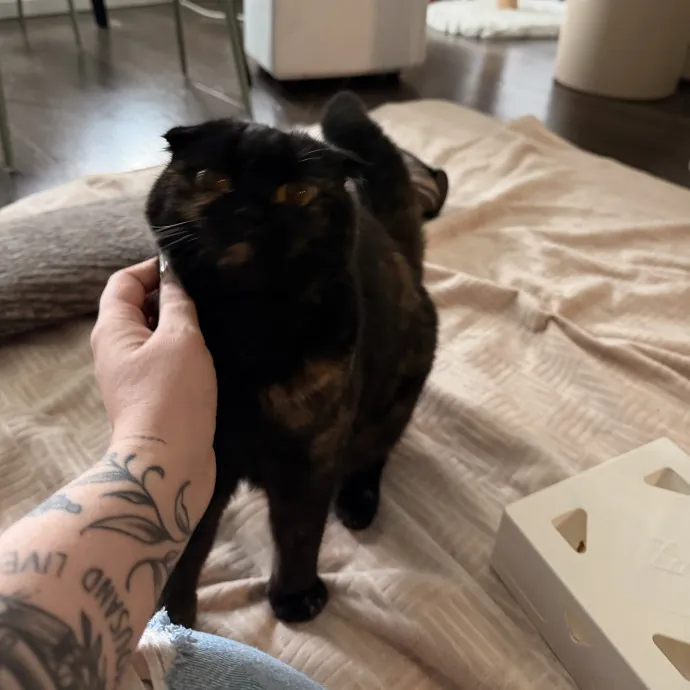 Mia A.