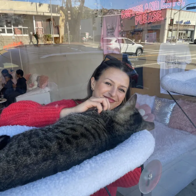 Lifelong Cat Lover  Rescue Volunteer