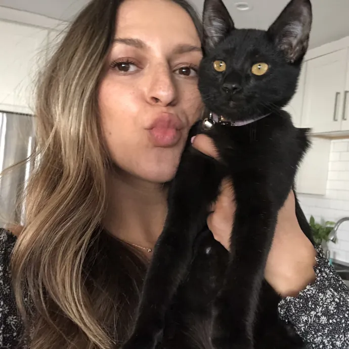 Lifelong Cat Lover  Rescue Volunteer