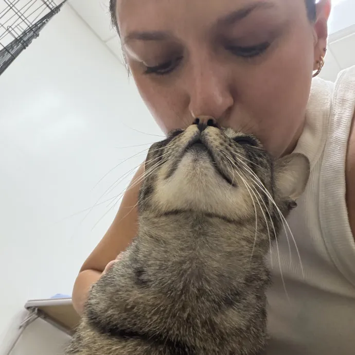 Lifelong Cat Lover  Rescue Volunteer