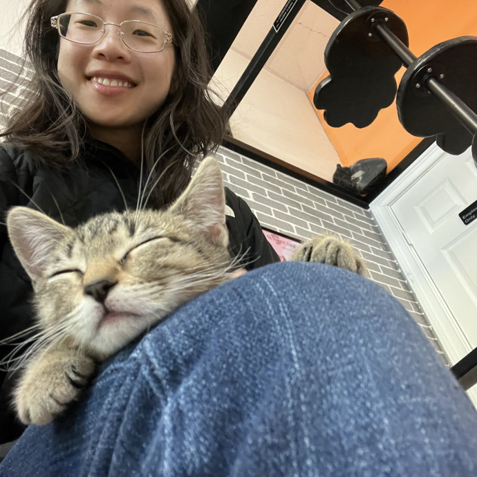 Gentle And Attentive Cat-Sitter