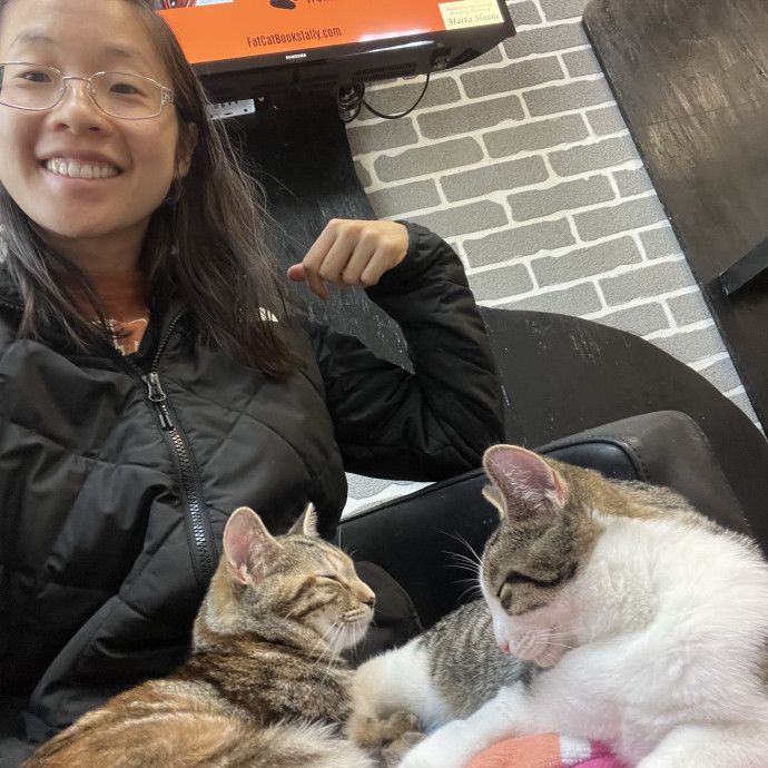 Gentle And Attentive Cat-Sitter