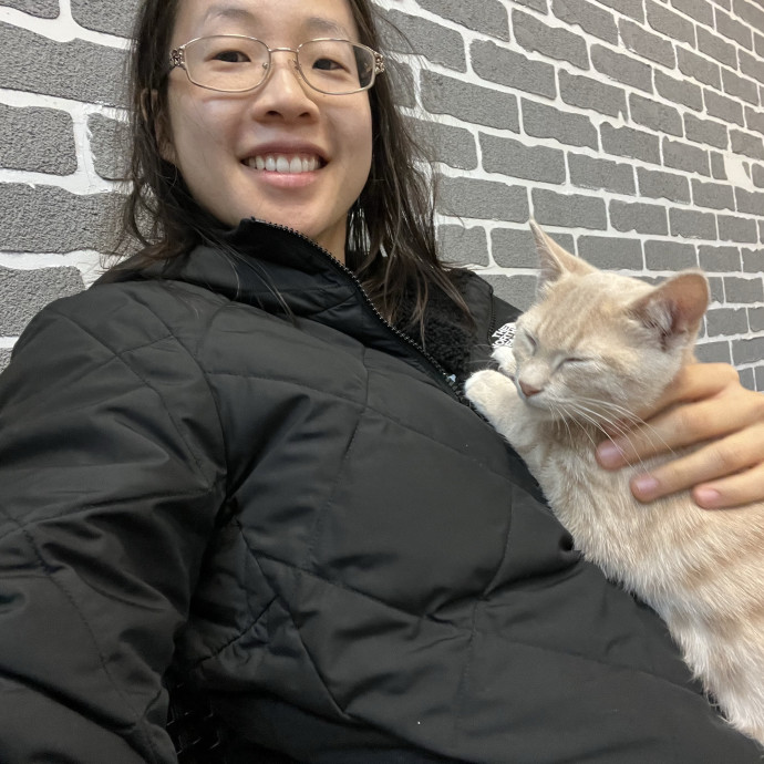 Gentle And Attentive Cat-Sitter photo 2