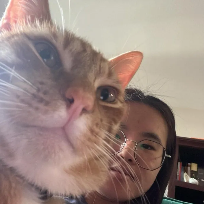 Purr-Fessional Cat Care