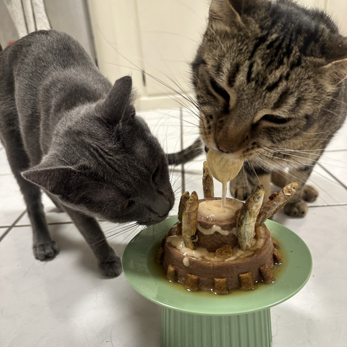 Purr-Fect Cat Sitting And Cozy Care