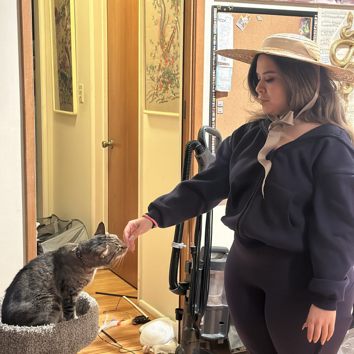 Purr-Fect Cat Sitting And Cozy Care