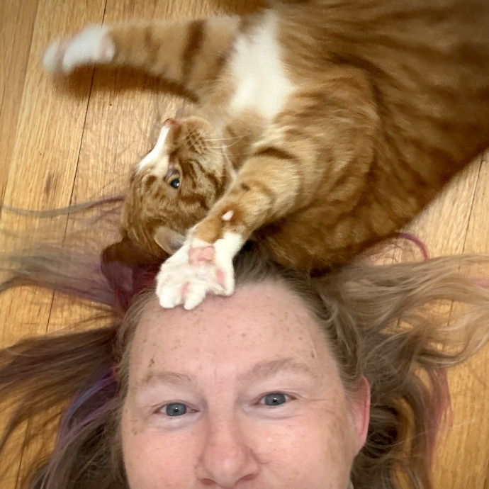 Kristin's Cat Care