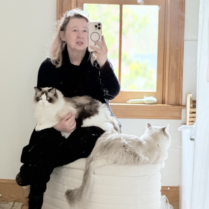 Kristin's Cat Care
