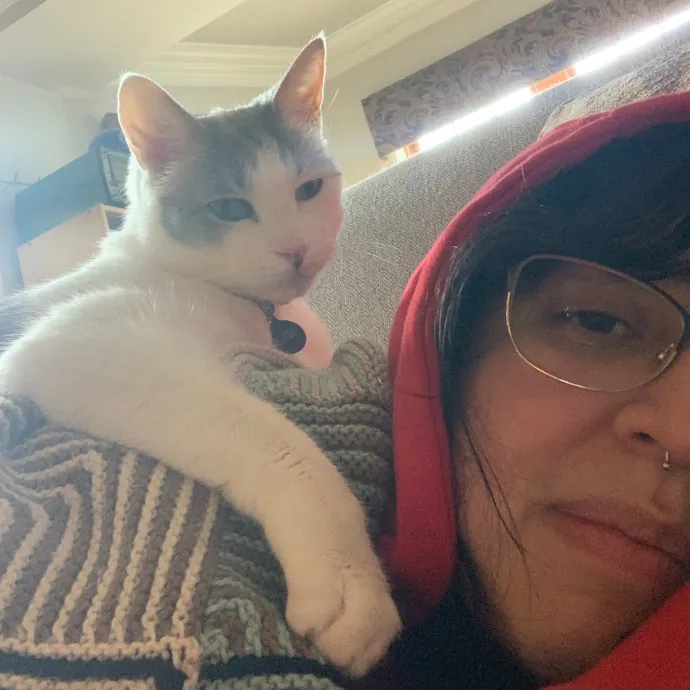 Cat Care Connoisseur