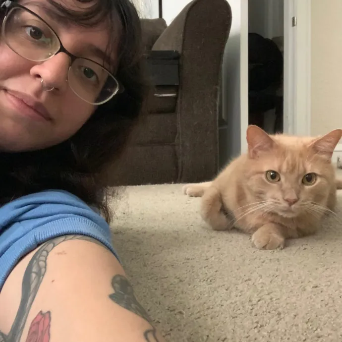 Cat Care Connoisseur