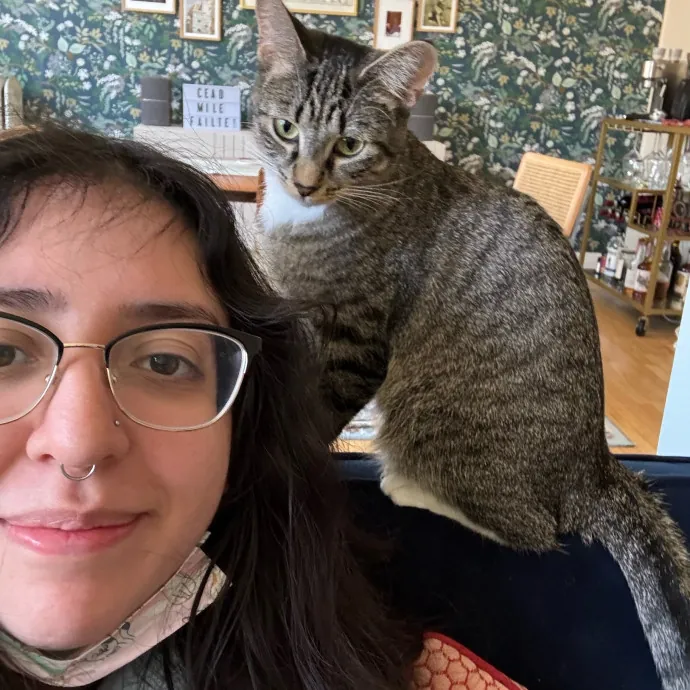 Cat Care Connoisseur