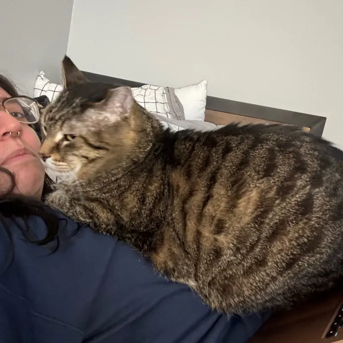 Cat Care Connoisseur