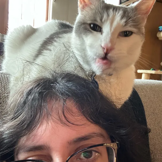 Cat Care Connoisseur