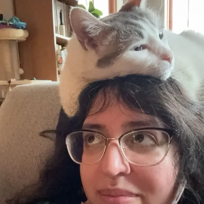 Cat Care Connoisseur