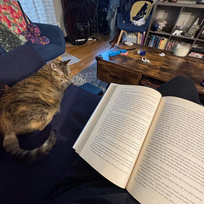 Cat Care Connoisseur