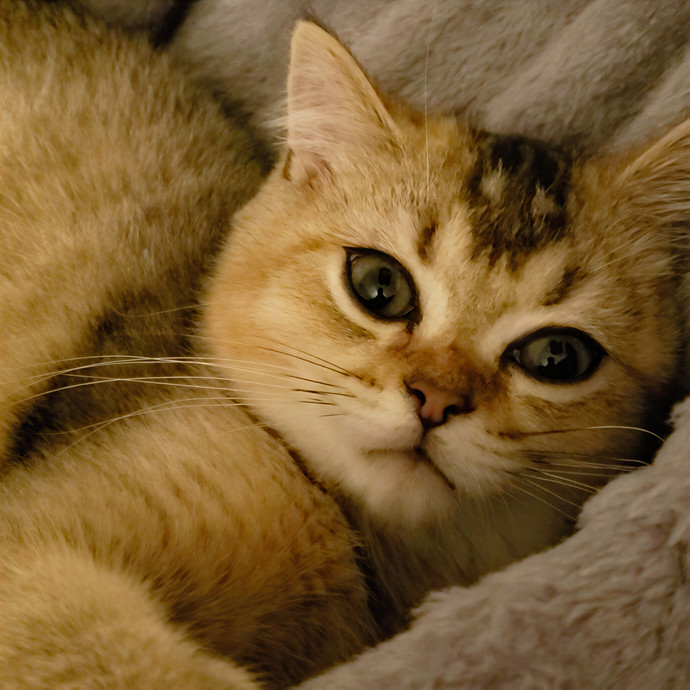 Kitty Kare With Gabby photo 3