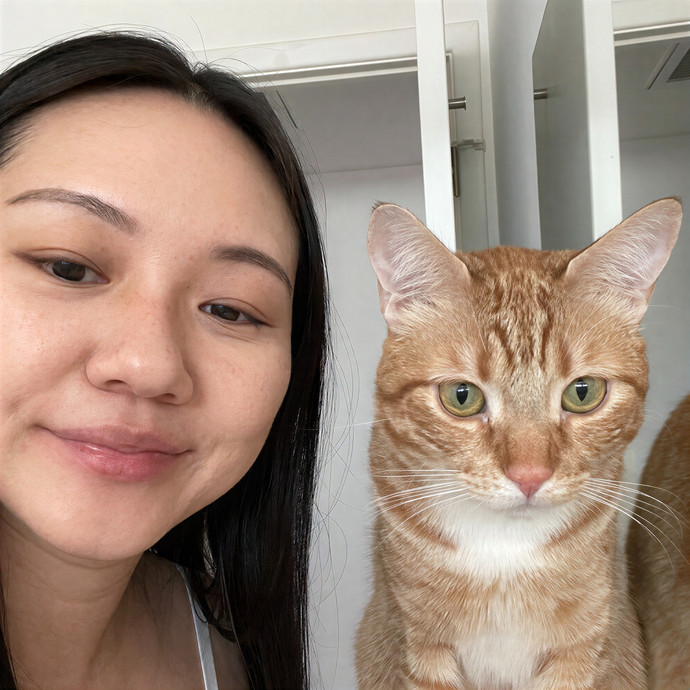 Mic And Meow Cat Sitting Service