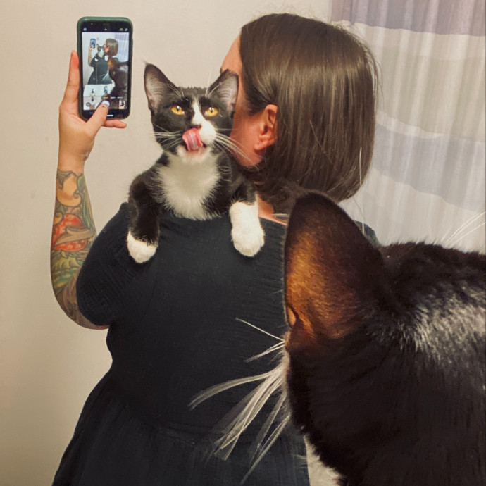 Ainsley Adores Cats