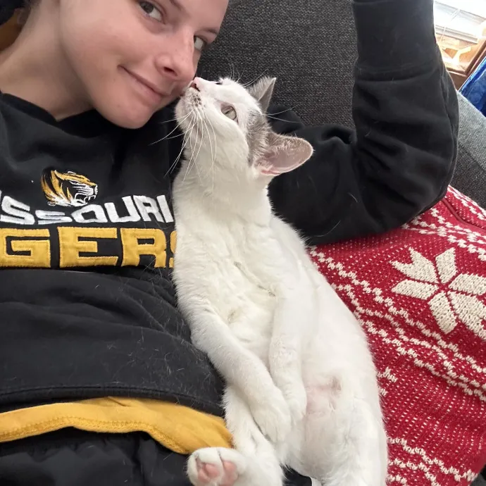 Cat Mom With 15 Years Experience