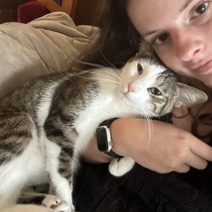 Cat Mom With 15 Years Experience