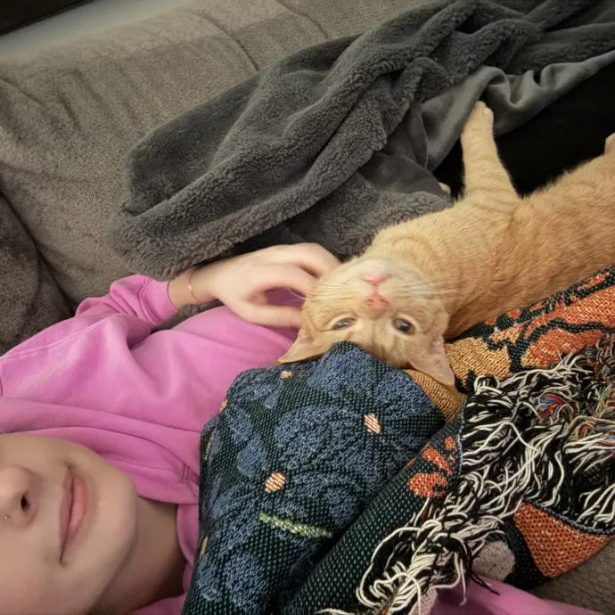 Cat Mom With 15 Years Experience photo 3