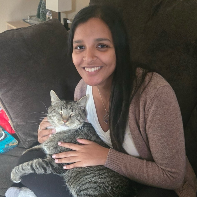 Kitty Connection And Care