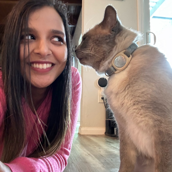 Kitty Connection And Care