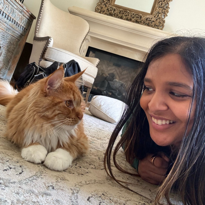 Kitty Connection And Care photo 3