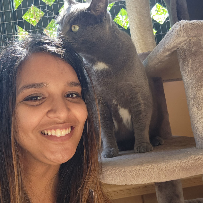 Kitty Connection And Care photo 2