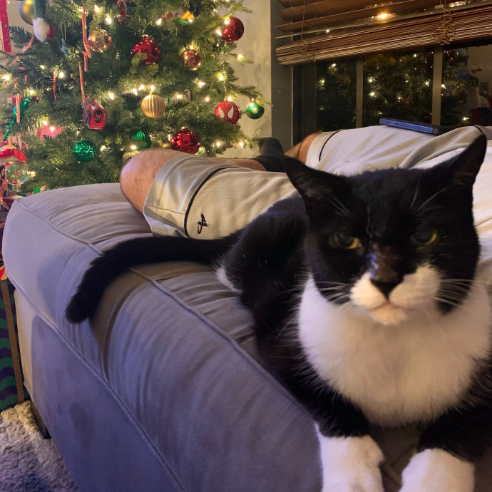 Tampa's Cat Butler - Kaitlyn