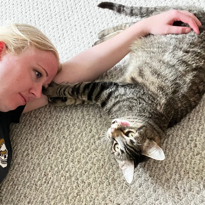 Kacee's Purrfect Cat Sitting