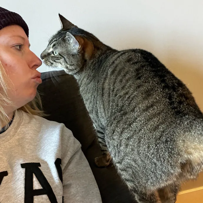 Kacee's Purrfect Cat Sitting