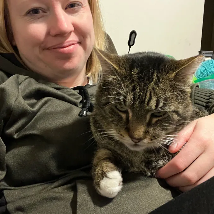 Kacee's Purrfect Cat Sitting