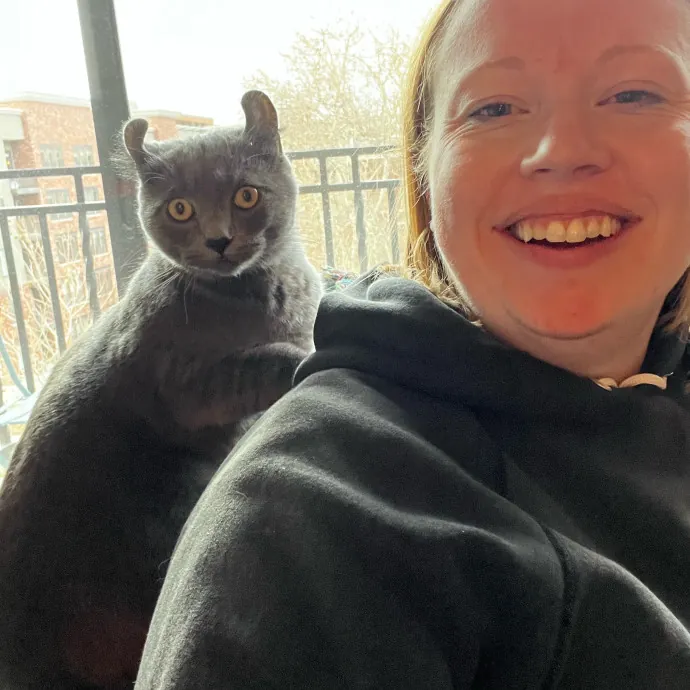 Kacee's Purrfect Cat Sitting