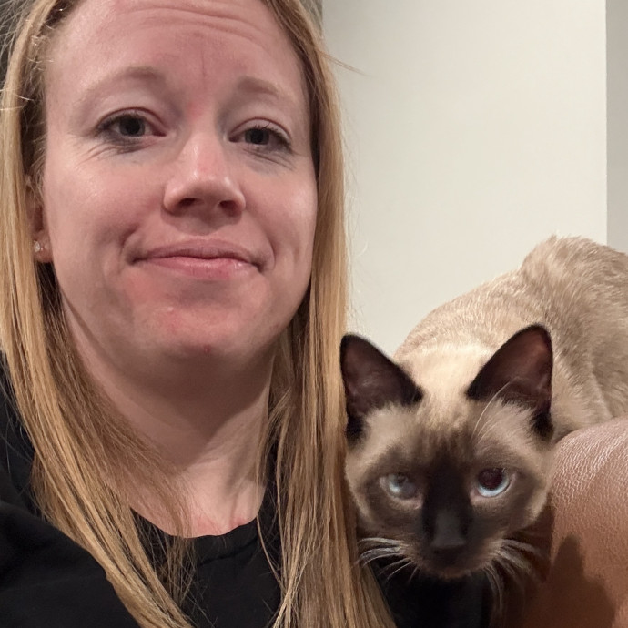 Kacee's Purrfect Cat Sitting