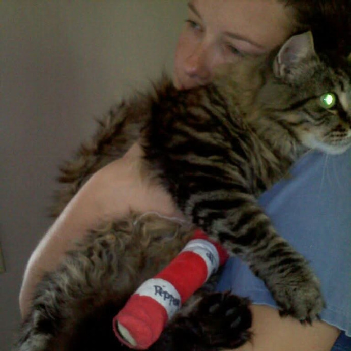 Must Love Cats photo 2