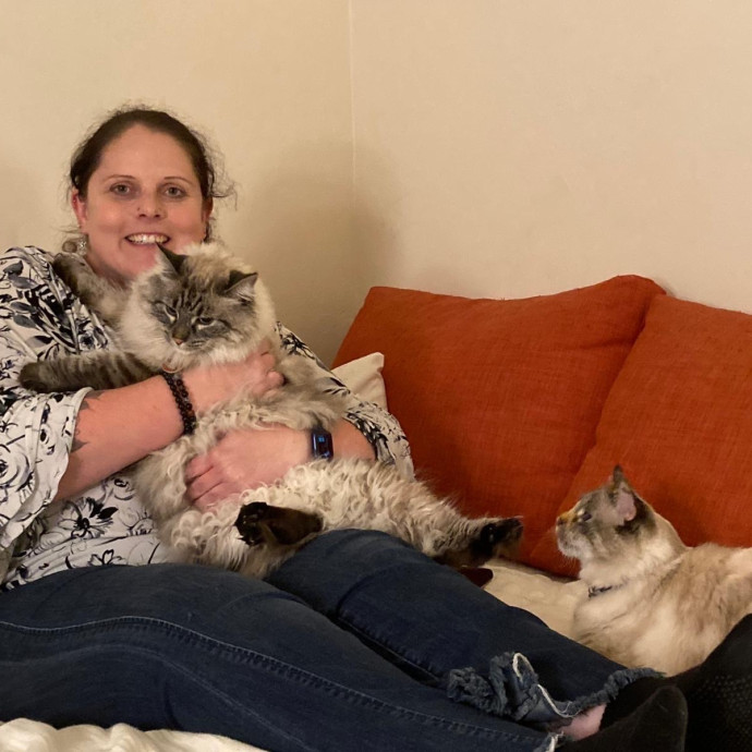 Your Cat's New Favorite Person
