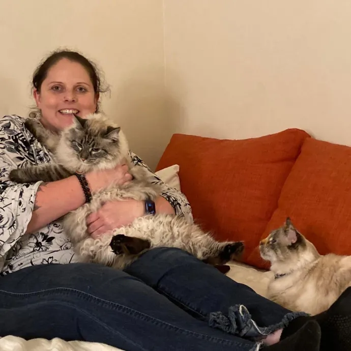 Your Cat's New Favorite Person